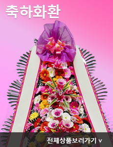 축하화환